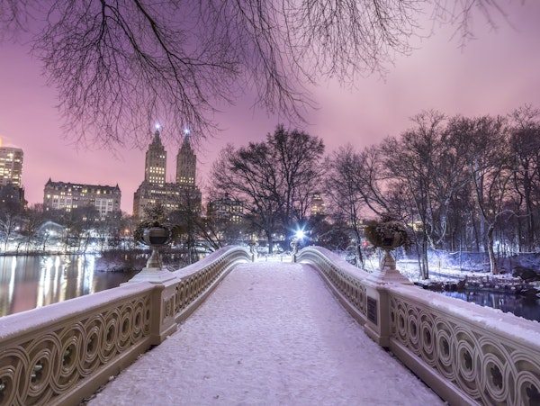 Central Park Winter Bridge