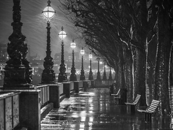 Rainy Riverwalk Streetlights