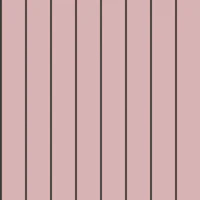 Soft Pink and Charcoal Stripes tapet