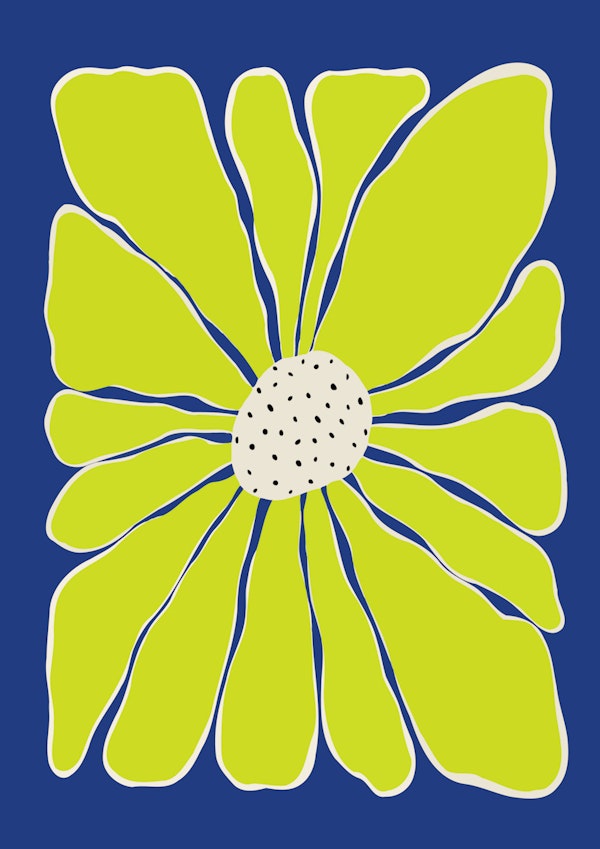 Bold Paradise I