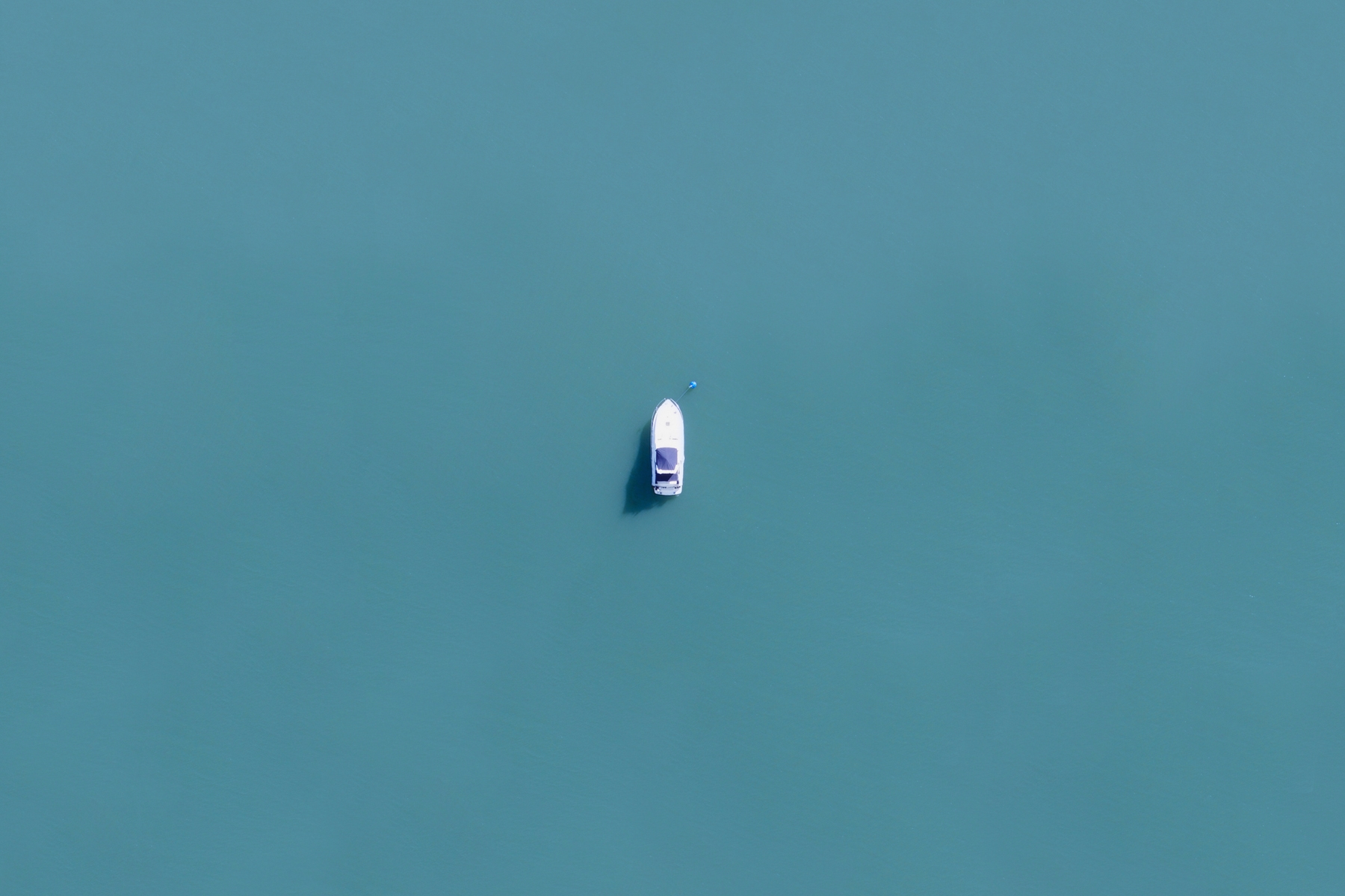 Buy Rolling in the deep wallpaper - Free shipping