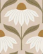 echinacea blooms - earthy