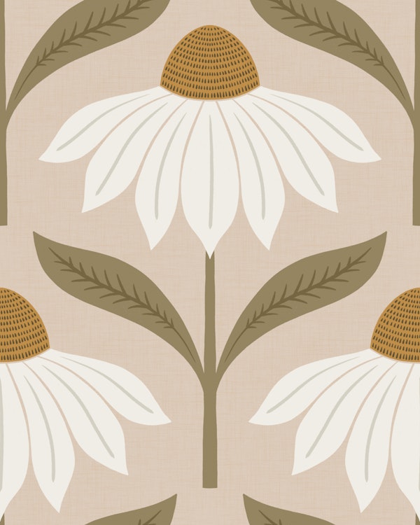 echinacea blooms - earthy