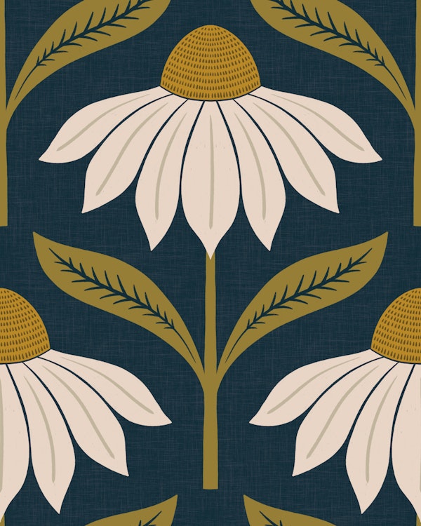 echinacea blooms - midnight blue