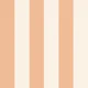 Soft Peach Cabana Stripes