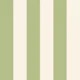 Classic Cabana Pistachio Stripe