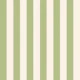 Pistachio Green Cabana Stripes