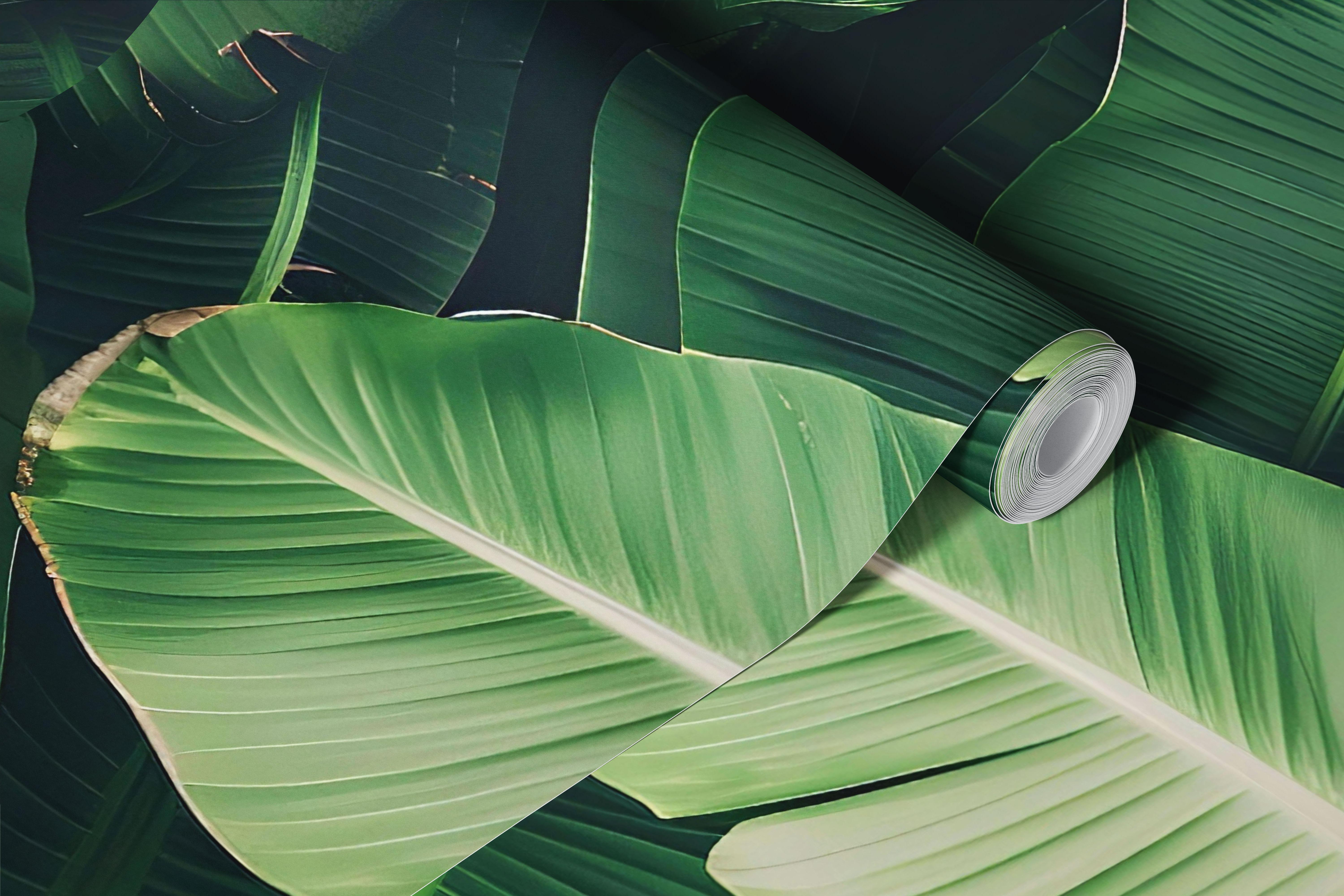 Tropical banana leaves wallpaper in a styled room