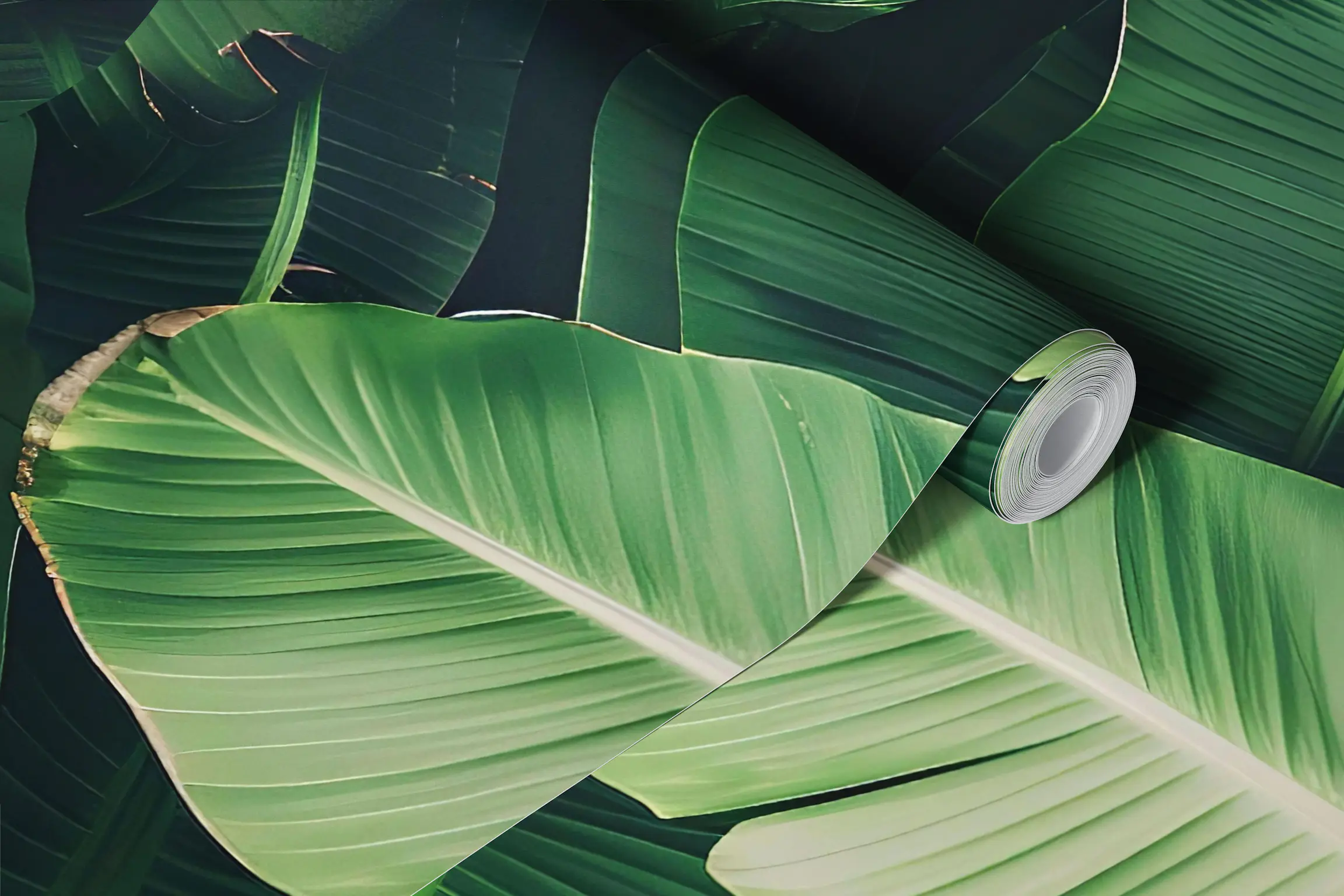 wallpaper roll