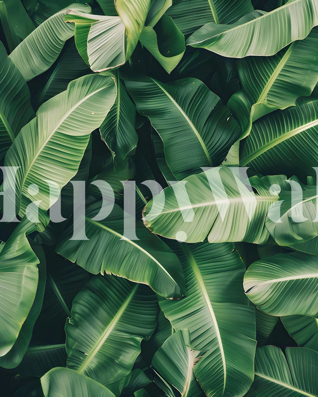 Tropical banana leaves wallpaper in a styled room