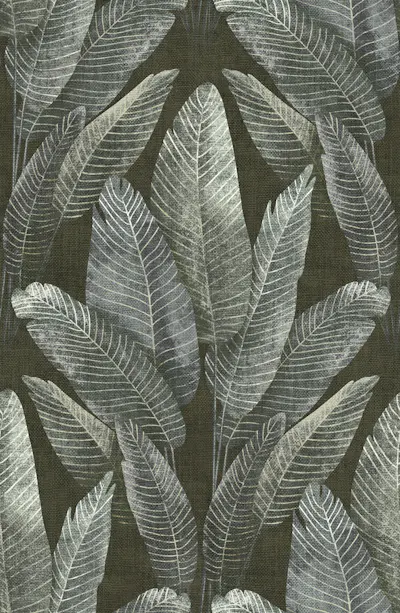 Padrão