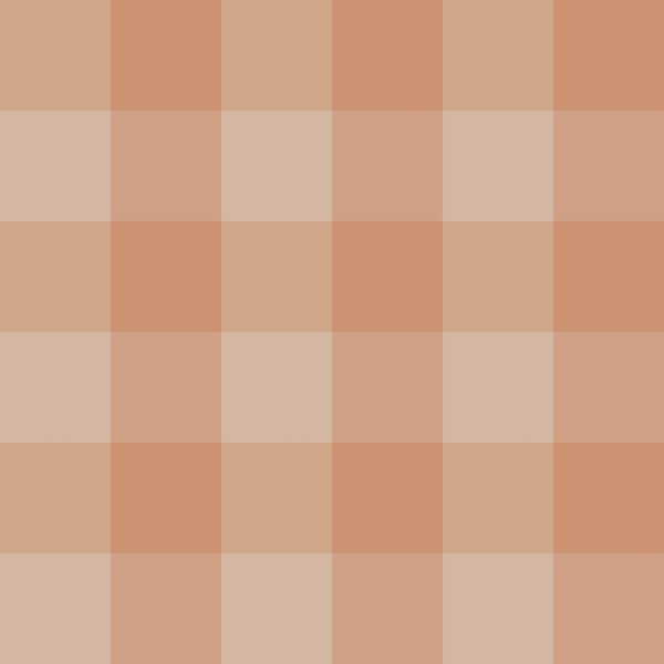 Gingham Check Cinnamon Rust Buffalo Cottage