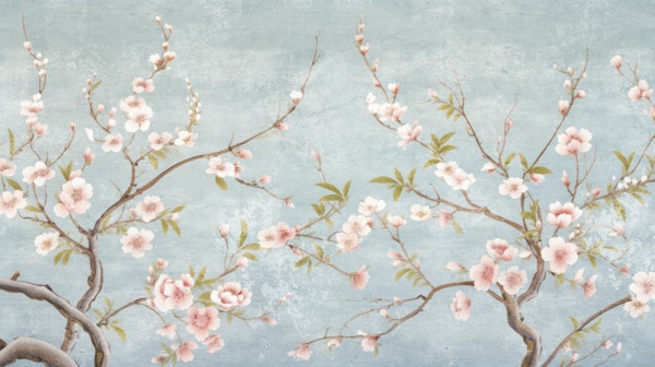 Cherry Blossom Branches Sky Blue