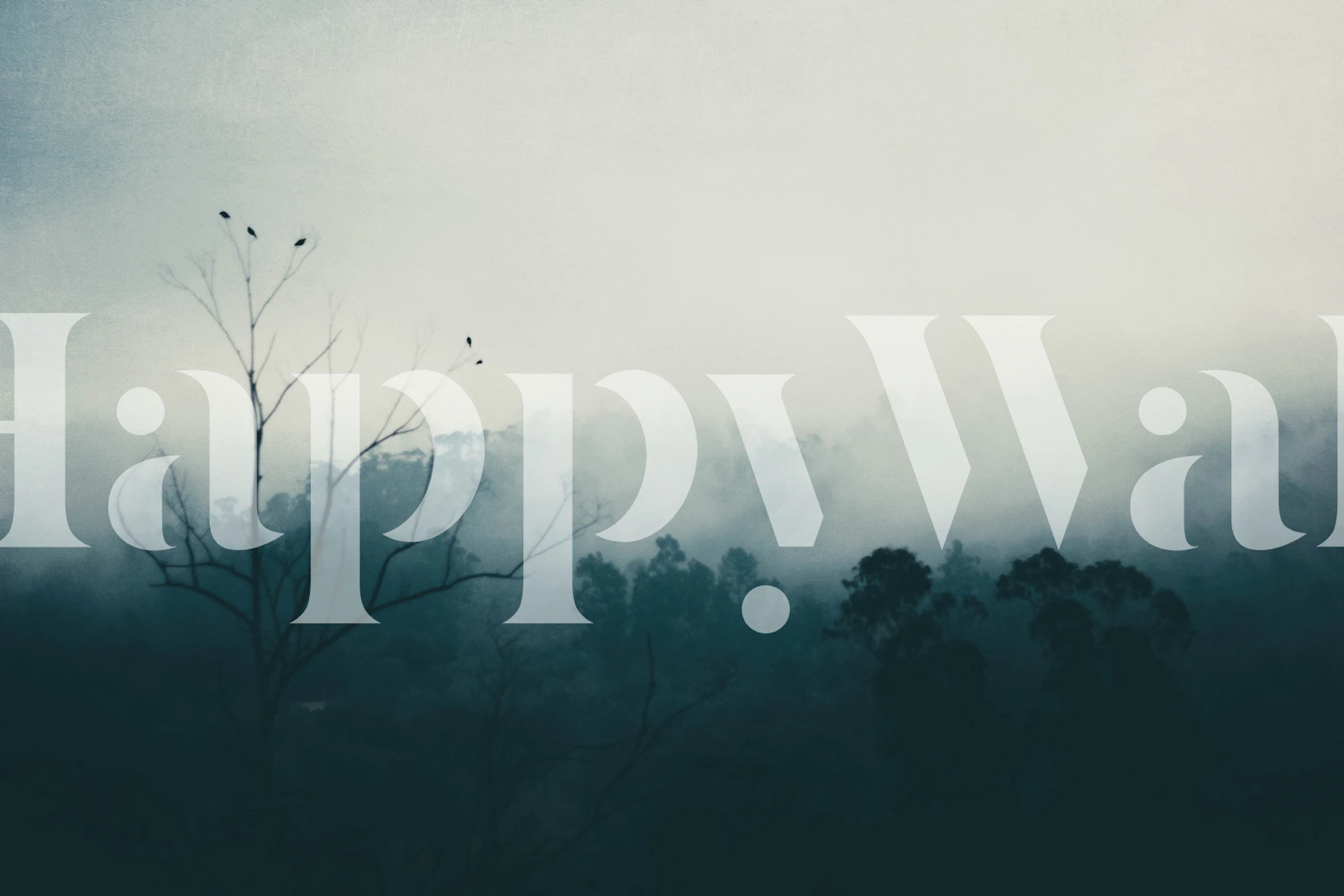 Fototapeta Silueta stromu s ptáky na pozadí Mlžné hory