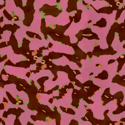 Pattern