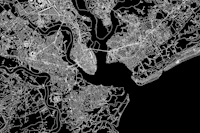 Charleston Black Map tapet