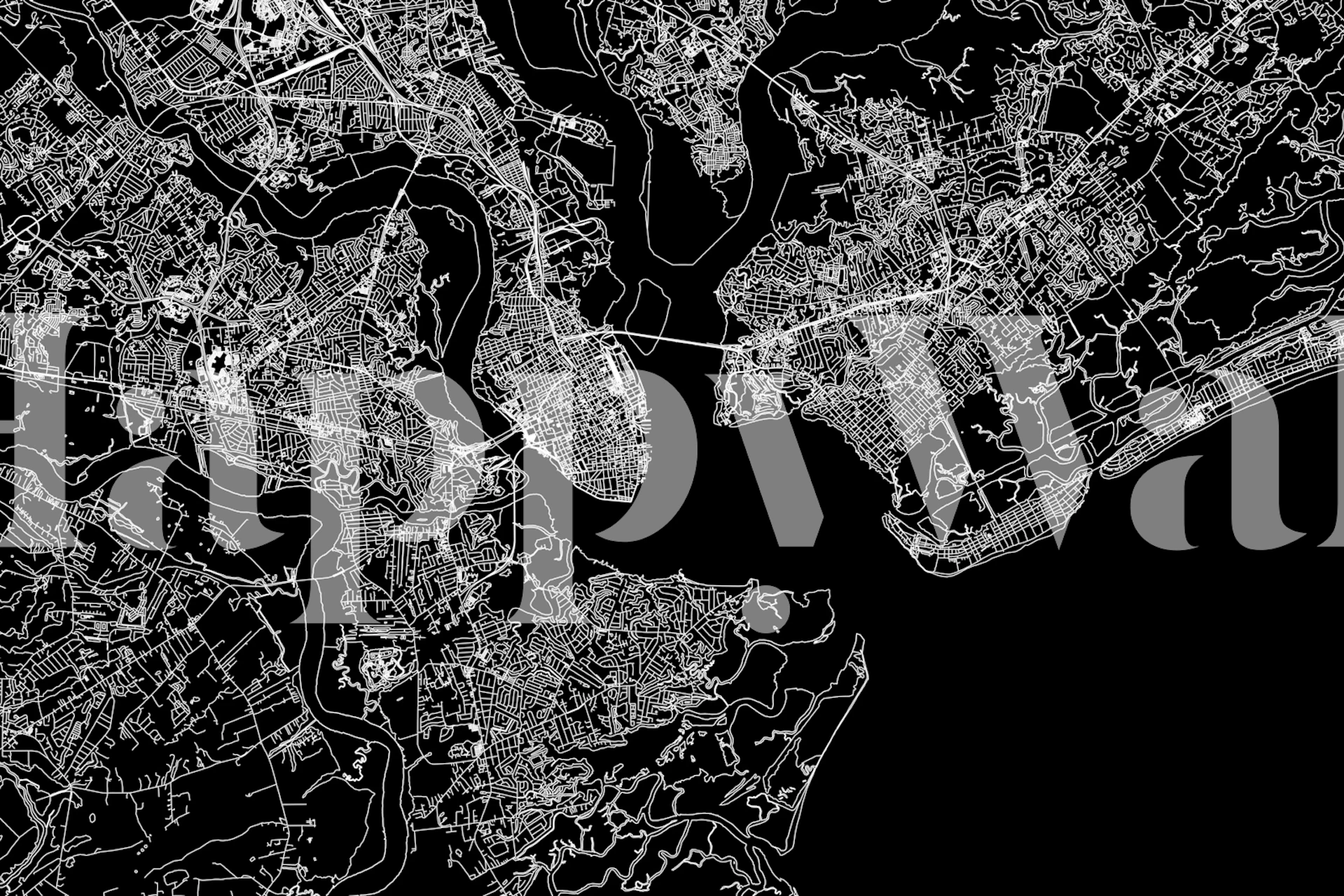 Charleston svart karttapet i et moderne rom