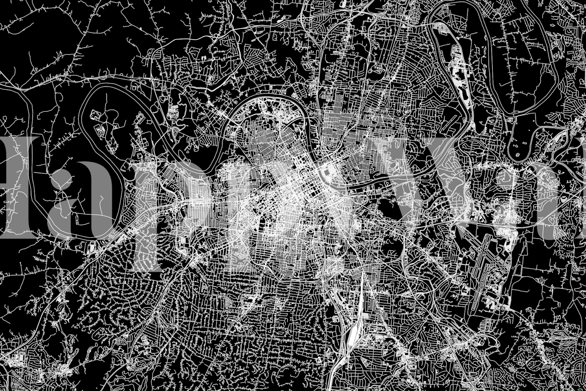 Nashville black map wallpaper in a modern room