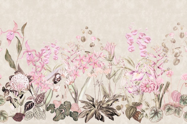 Pink Orchid Bloom Border