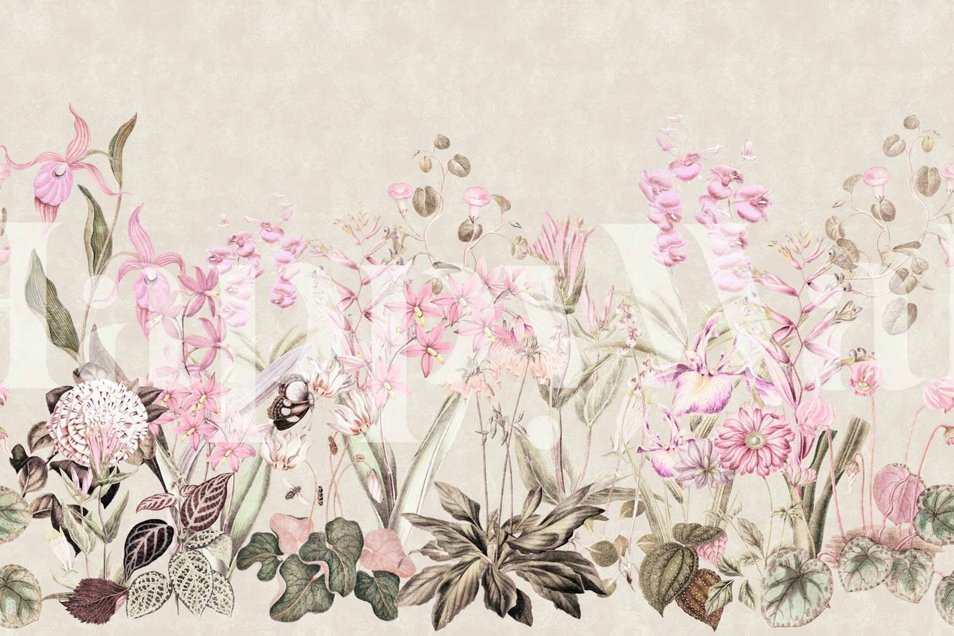 Pink orchid border wallpaper in a soft beige room