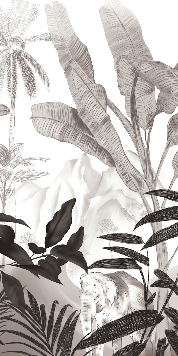 Beautiful Jungle Discovery