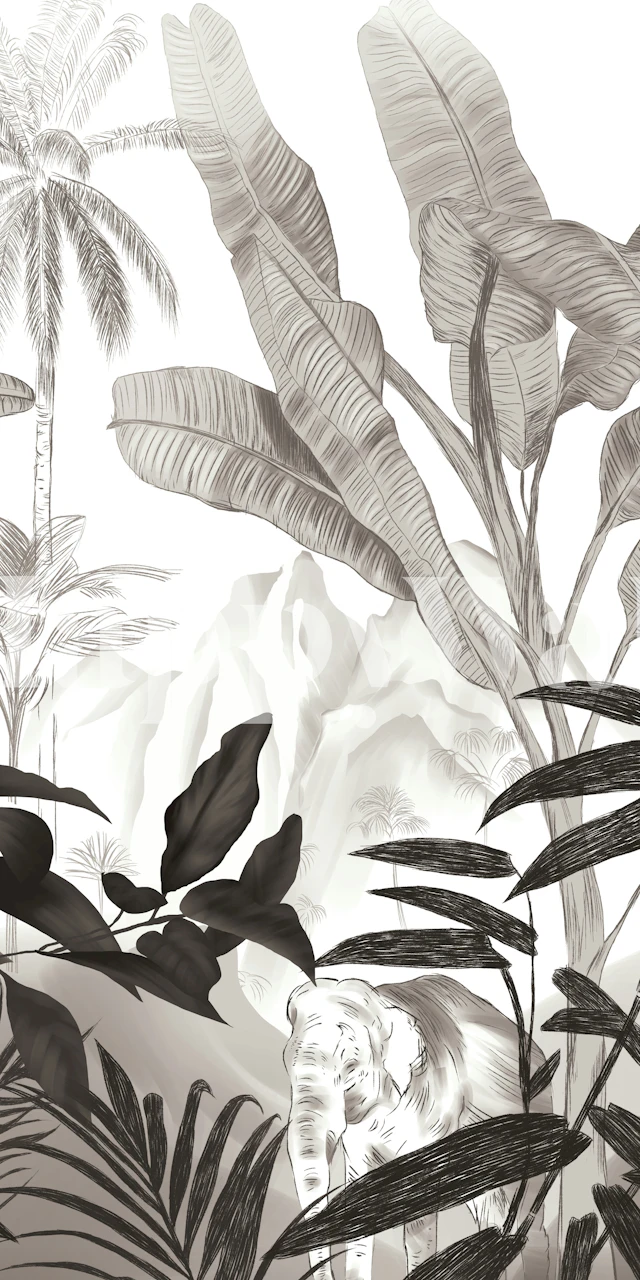 Beautiful Jungle Discovery tapet