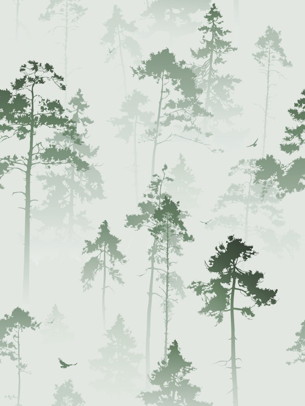 Serene Forest Vibes