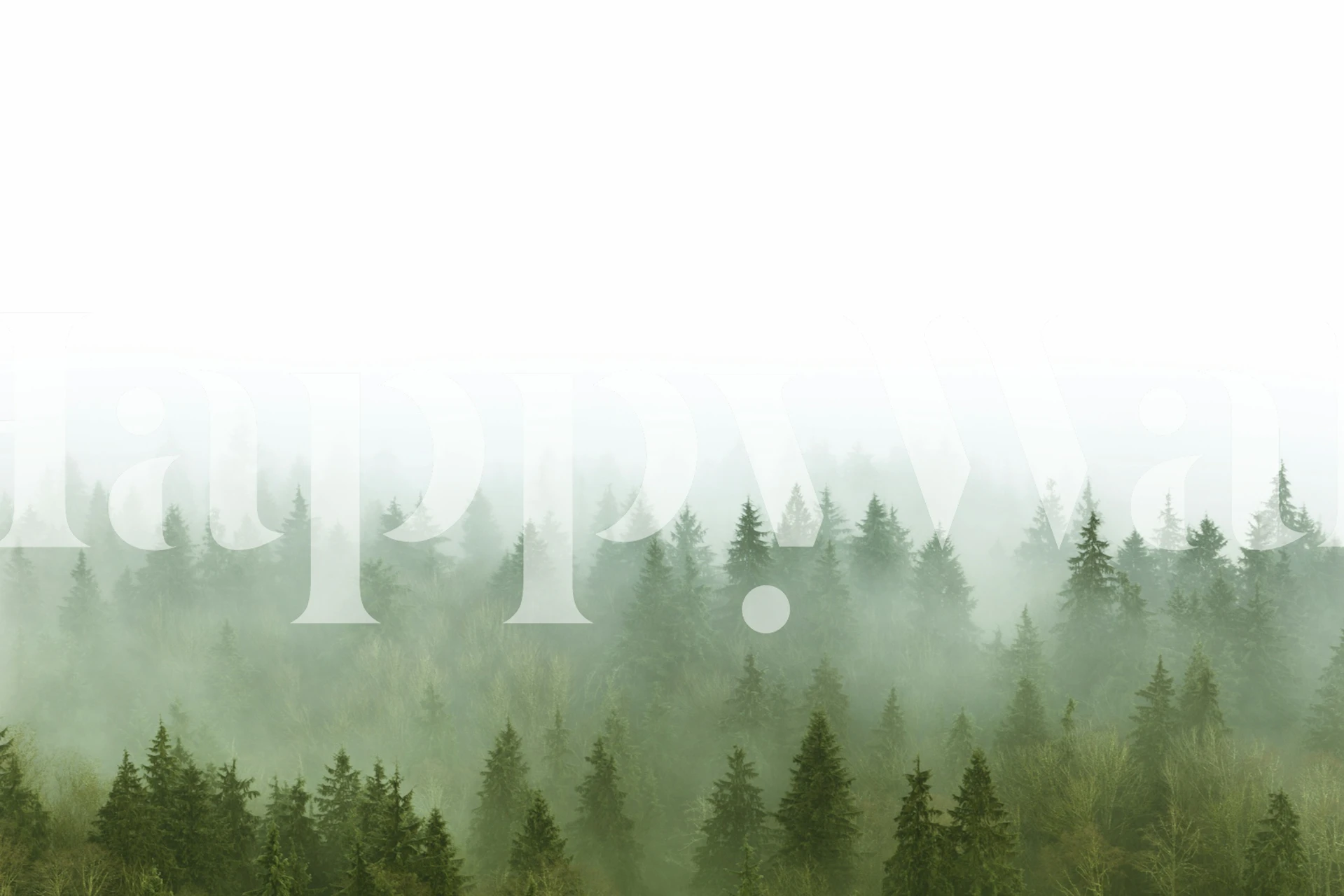 Enchanting Pine Forest tapeet