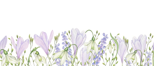 Vibrant Garden Scene