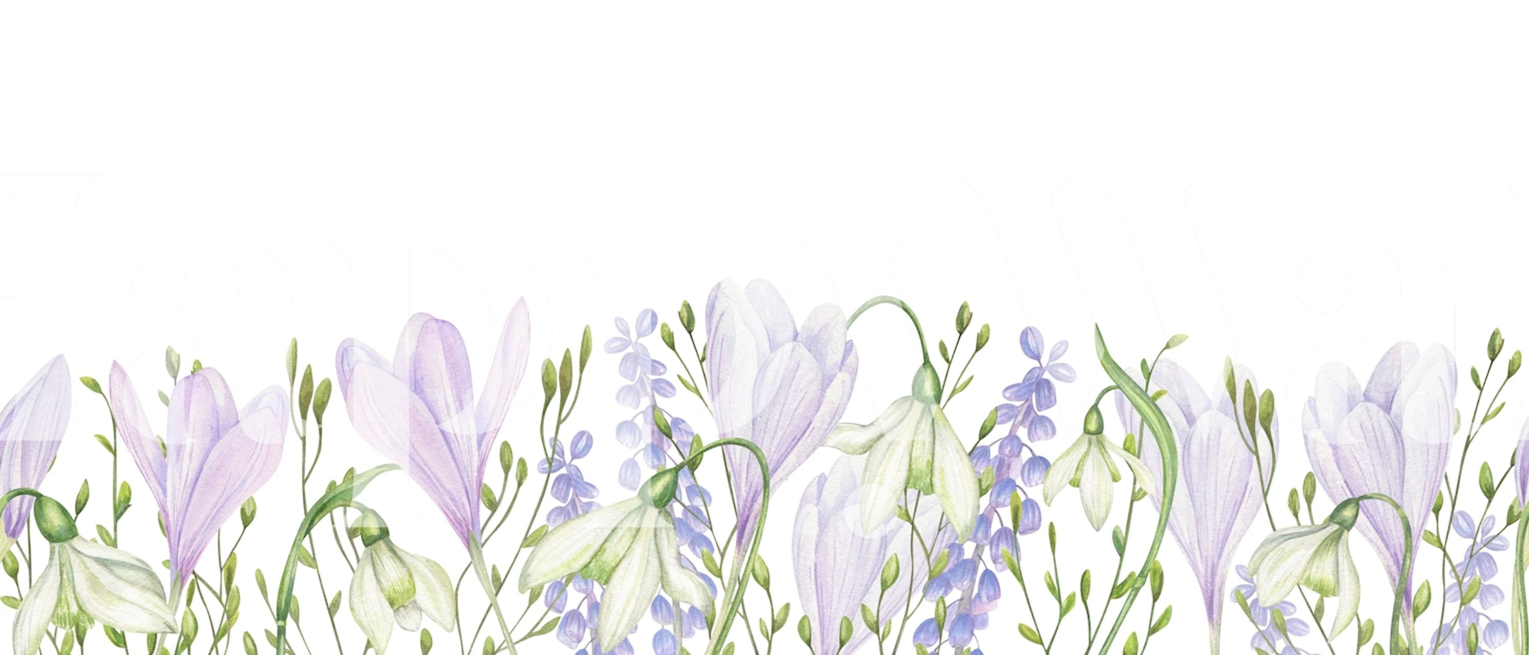 Floral border wallpaper in a bright room