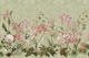Pink Orchid Bloom Border 2