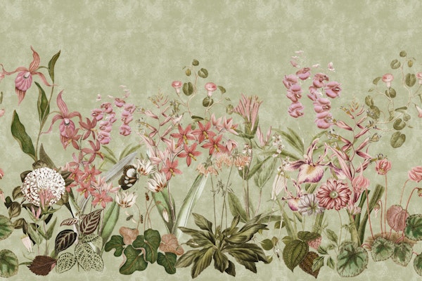 Pink Orchid Bloom Border 2