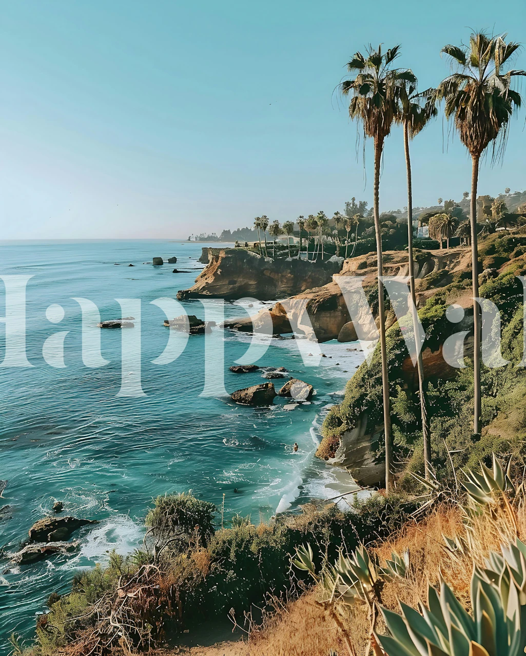 California coastal palms wallpaper in a room