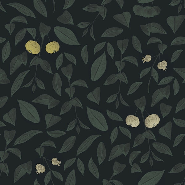 Brazilian Cherry - Lemon