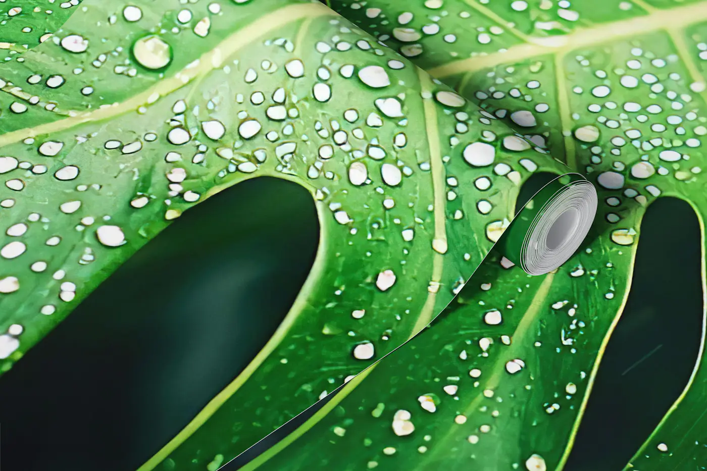 Tropical Monstera Rain Leaves wallpaper roll