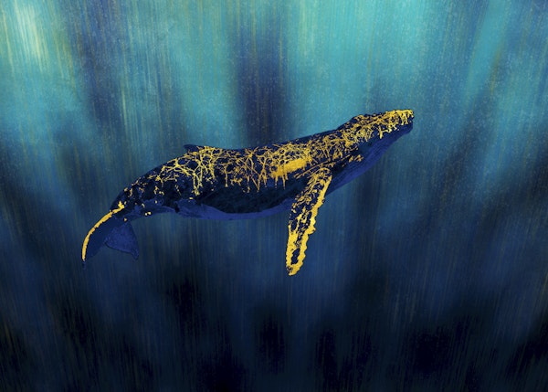 Golden Whale Kintsugi
