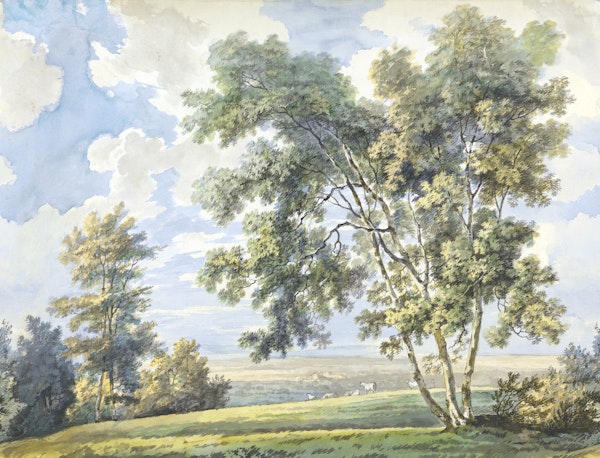 Pastoral Park Landscape - Spring