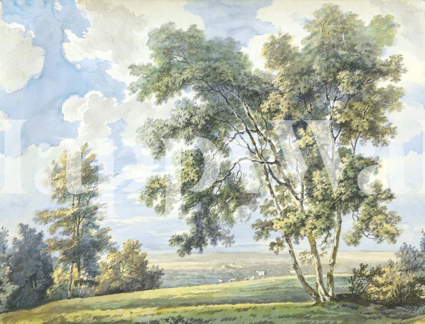 Pastoral landscape wallpaper in a bright room