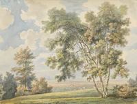 Pastoral Park Landscape - Summer wallpaper