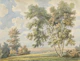 Pastoral Park Landscape - Summer