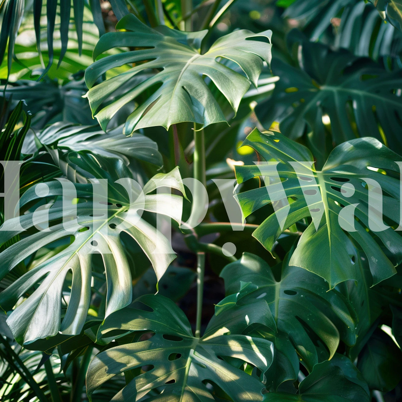 Sunlit monstera leaf wallpaper in a room