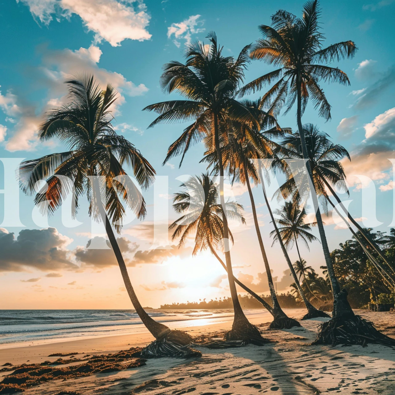 Tropical palm tree wallpaper in a coastal room