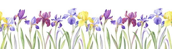 Colorful Iris Bouquet