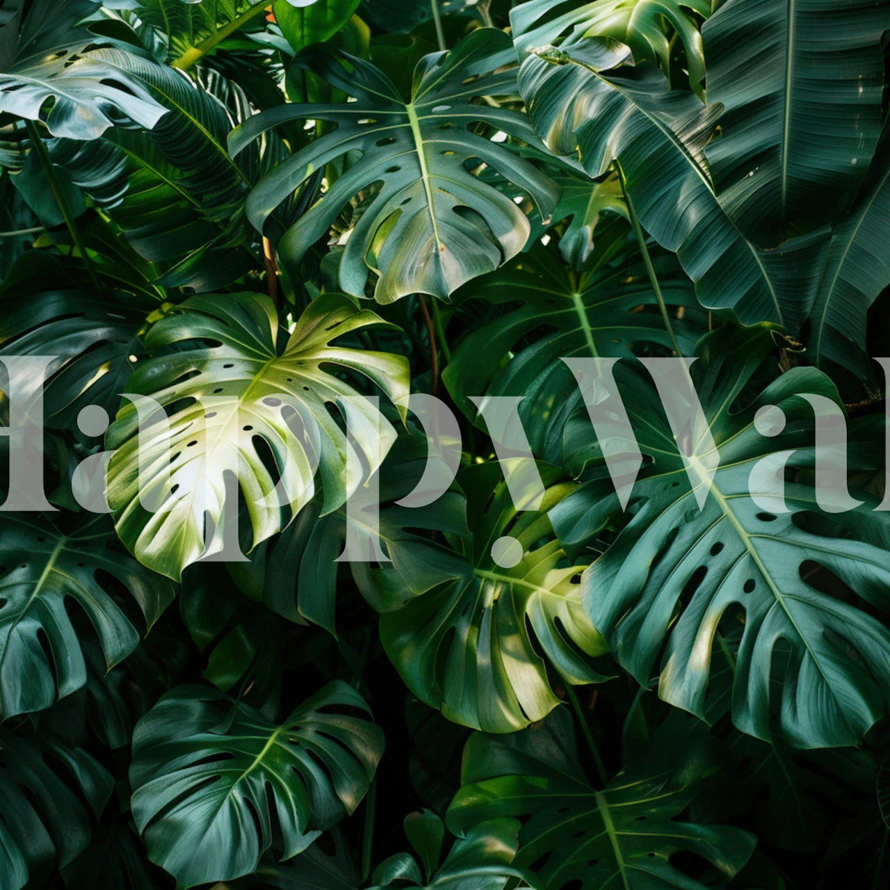 Monstera leaf wallpaper in a room