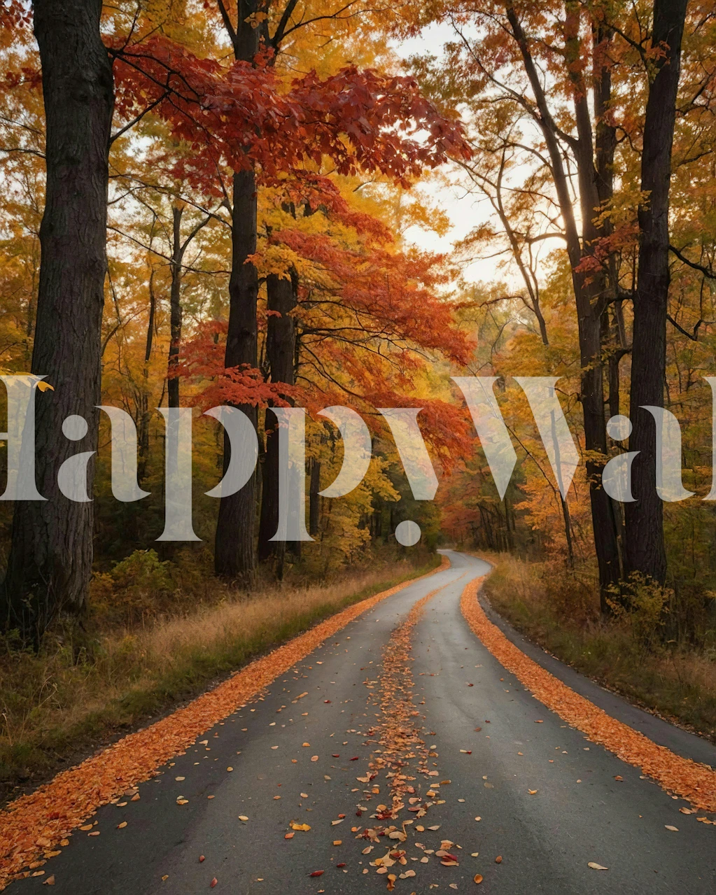 Autumn forest road wallpaper in a room