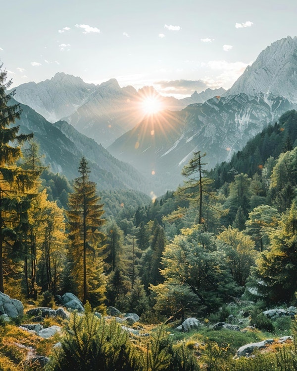 Sunlit Alpine Mountain Valley
