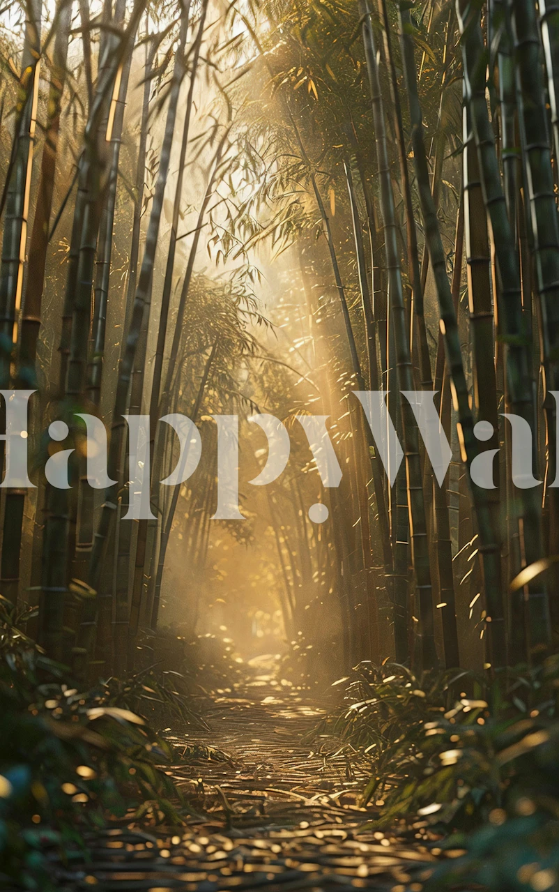 Bamboo forest path wallpaper in a room