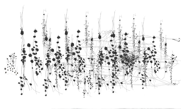 Delicate Vine Silhouettes