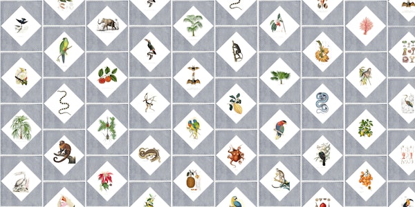 Tropical Botanical Atlas