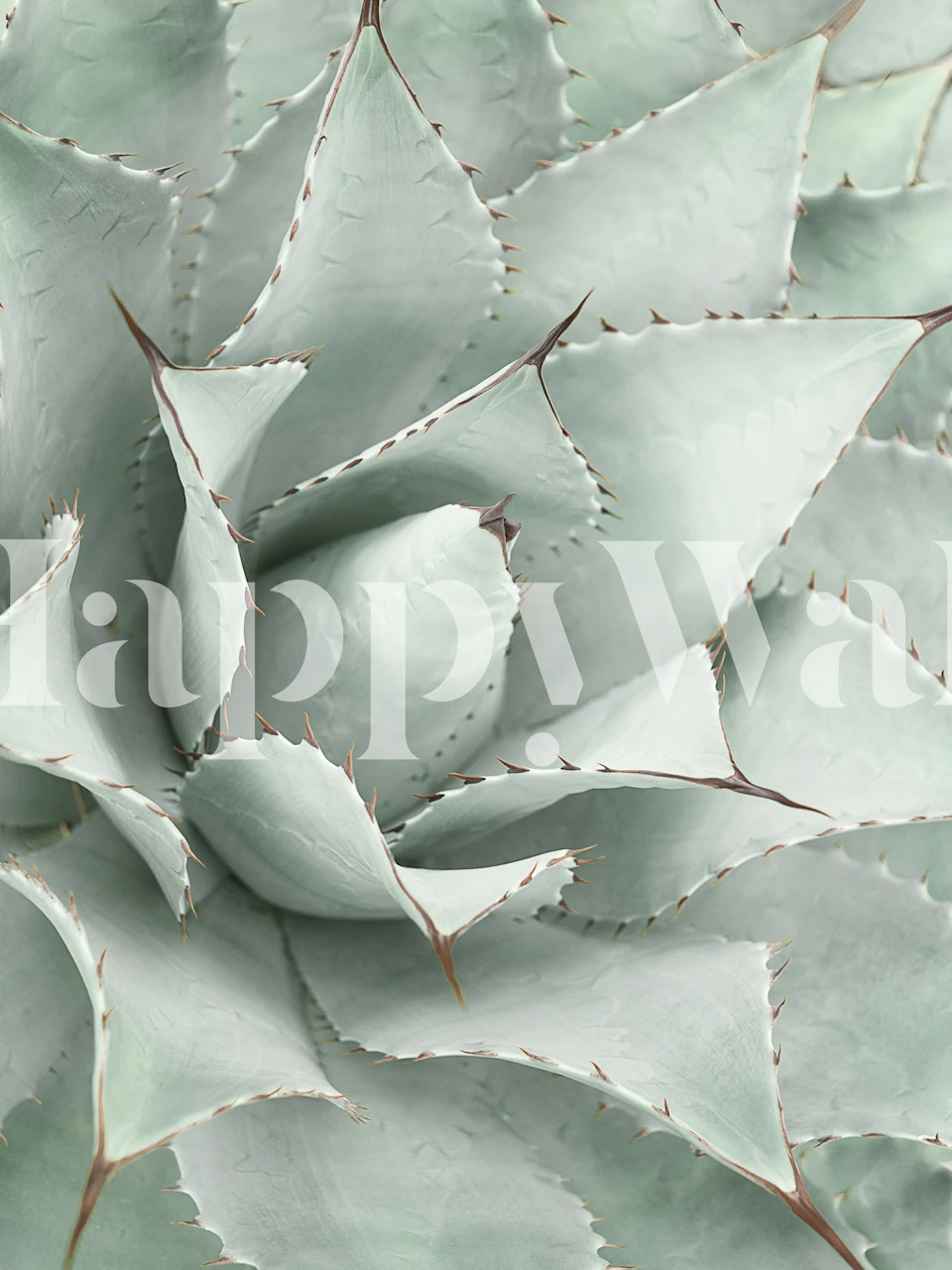Soft mint agave wallpaper in a modern room